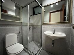 Parc Palais (D21), Condominium #622030261